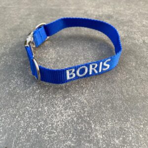 Halsband met naam blauw