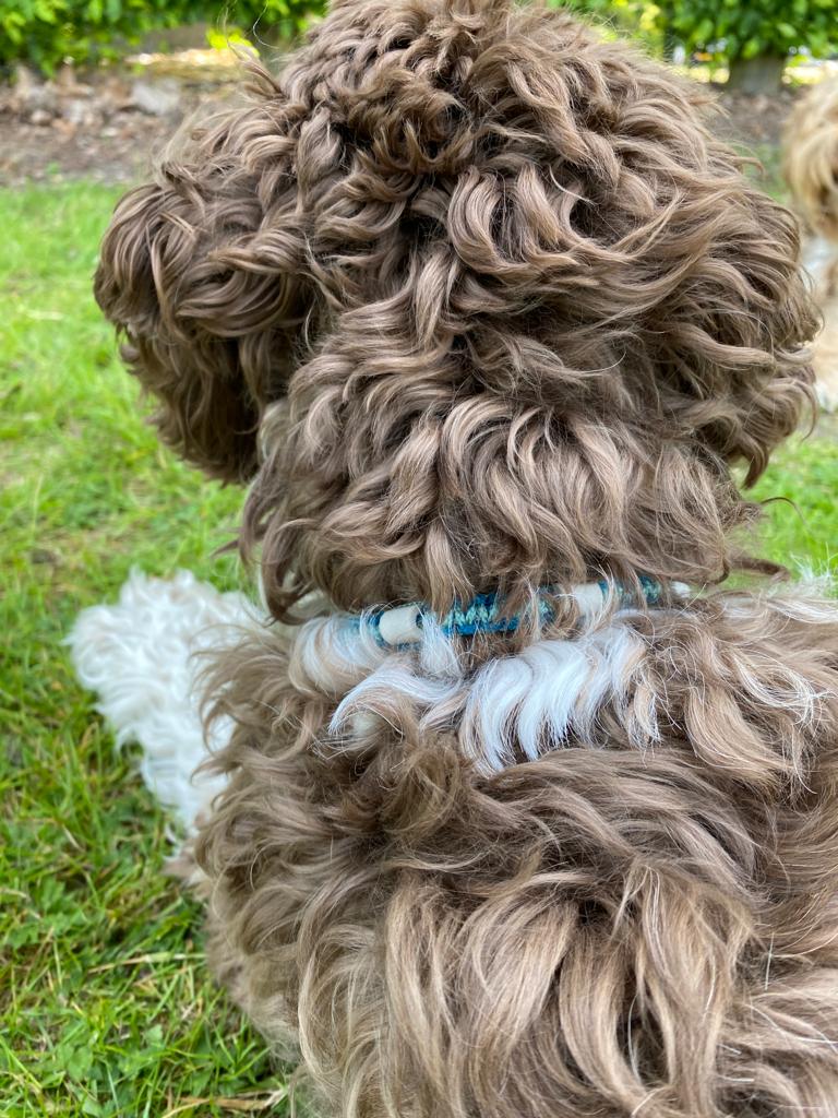 Tekenband aqua groen/zeeblauw