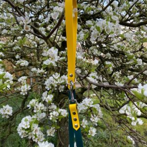 Looplijn geel/donker groen