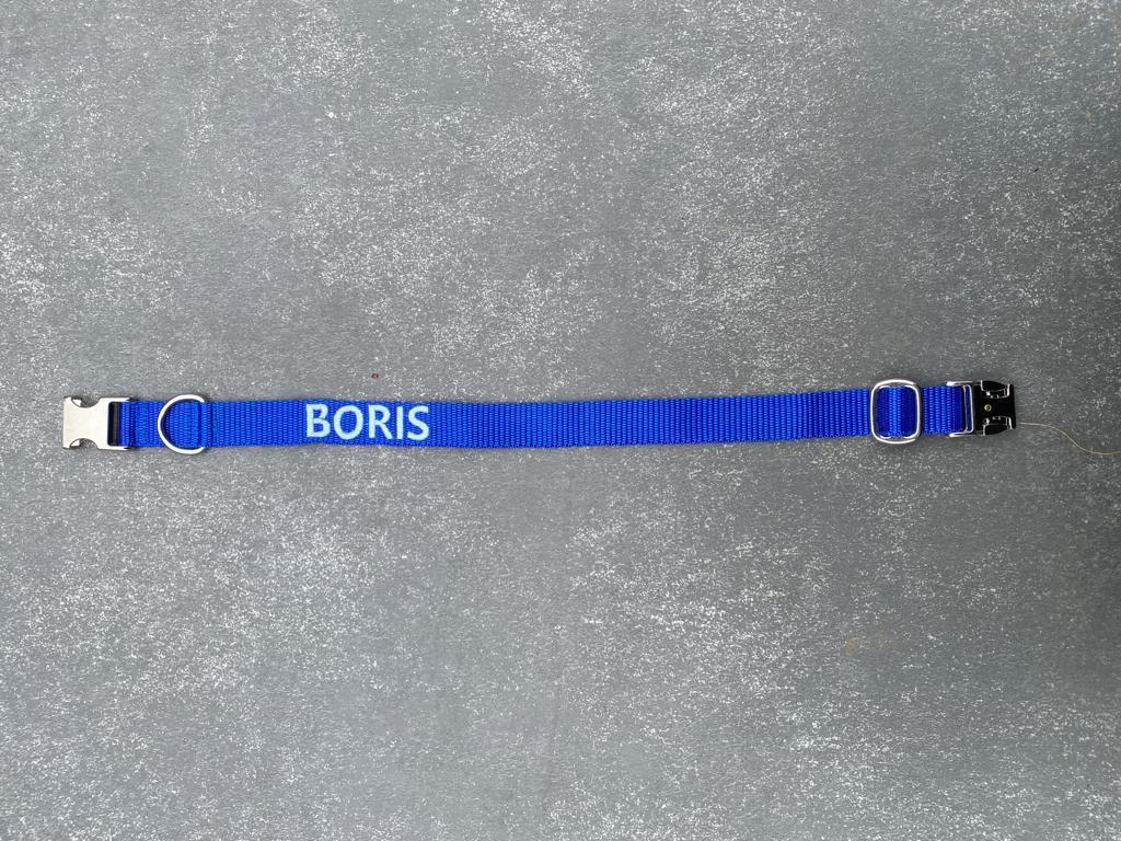 Halsband met naam blauw