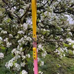 Looplijn geel/pastel roze