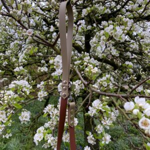 Looplijn beige/donker bruin
